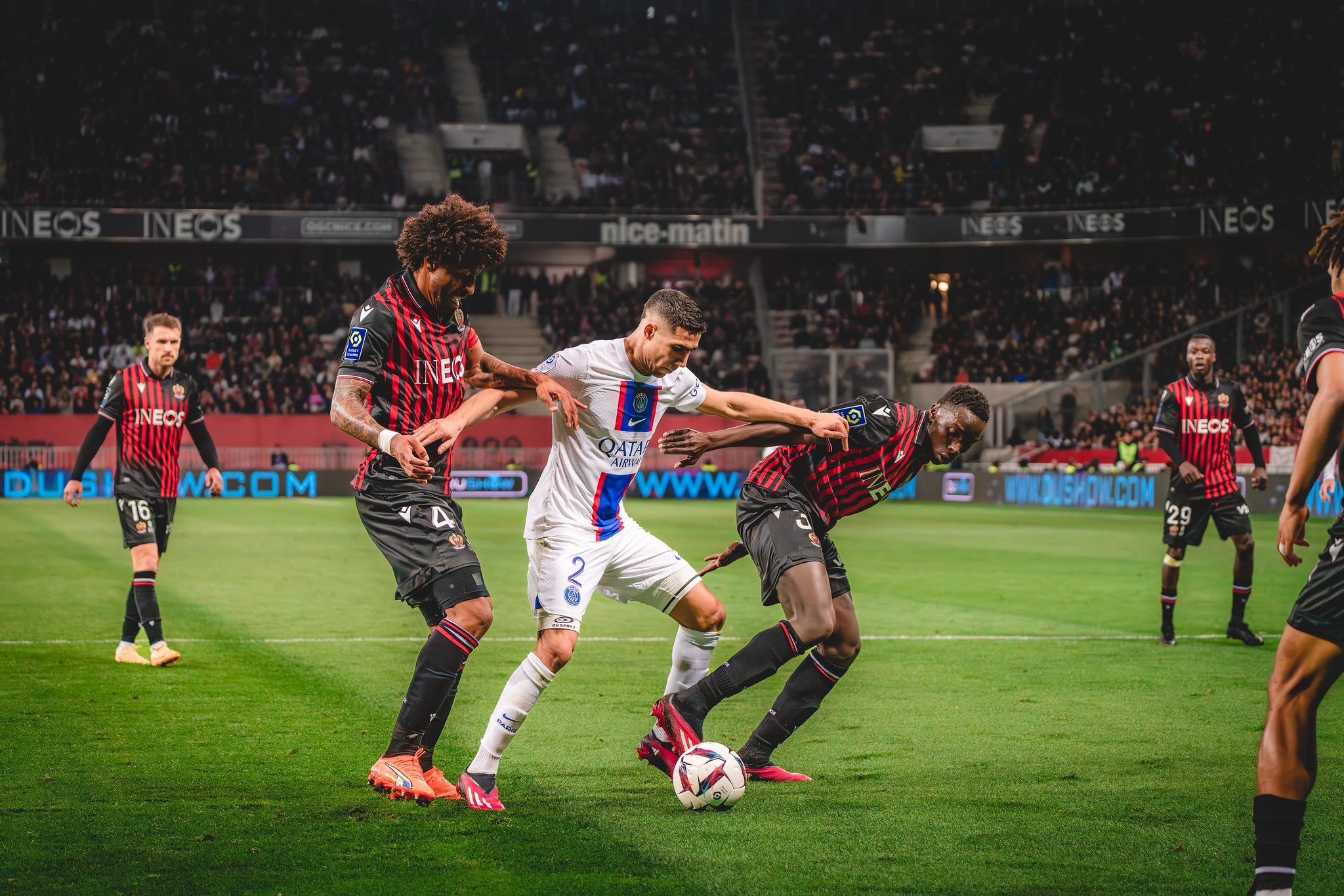 OGC Nice — photo 5