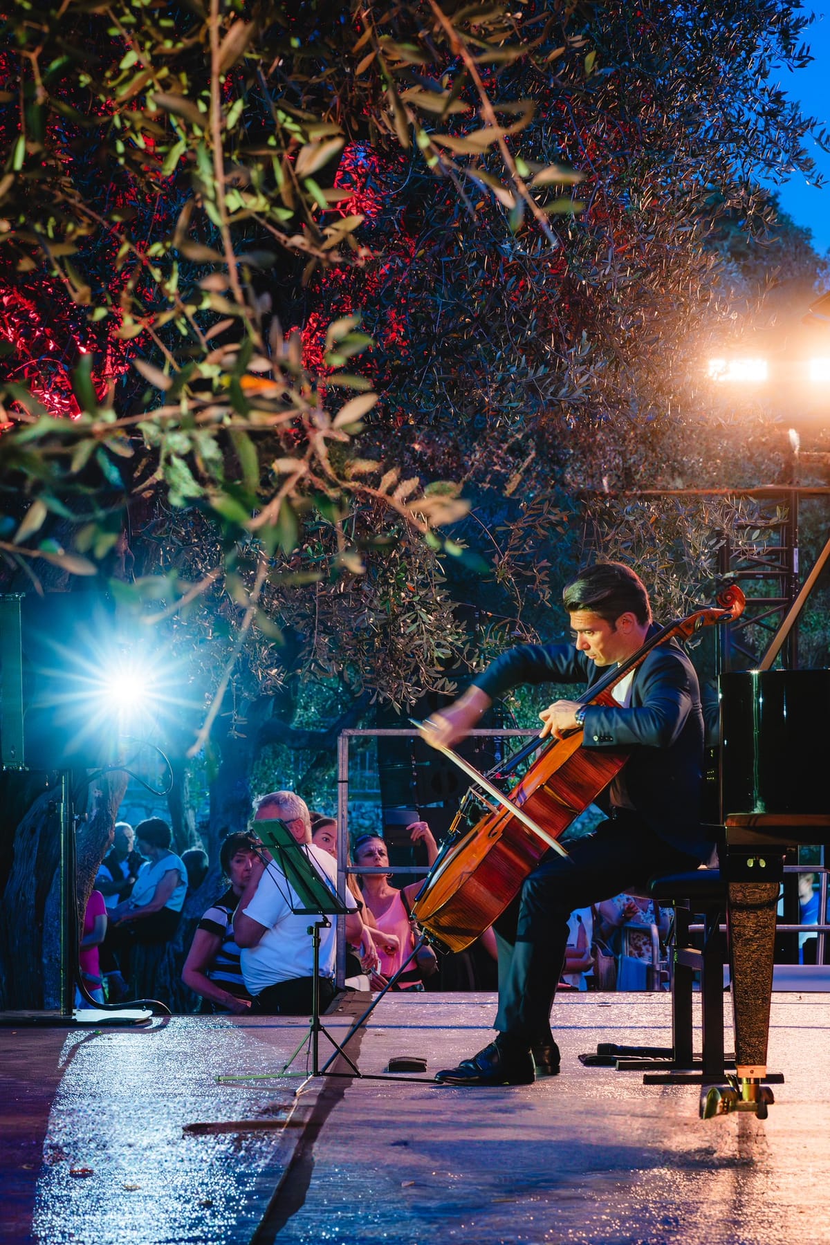 Un été en France avec Gautier Capuçon — photo 22